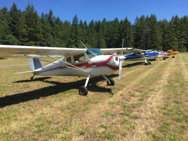 Cessna 120 (N76278) - 2016 Annual fly-in at Cougar Mountain Airport - grass strip