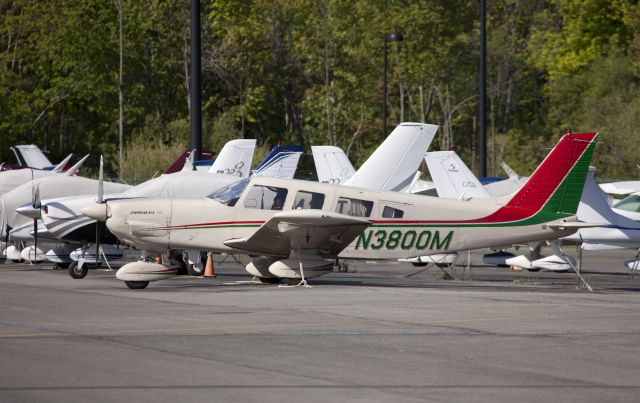 Piper Saratoga (N3800M)