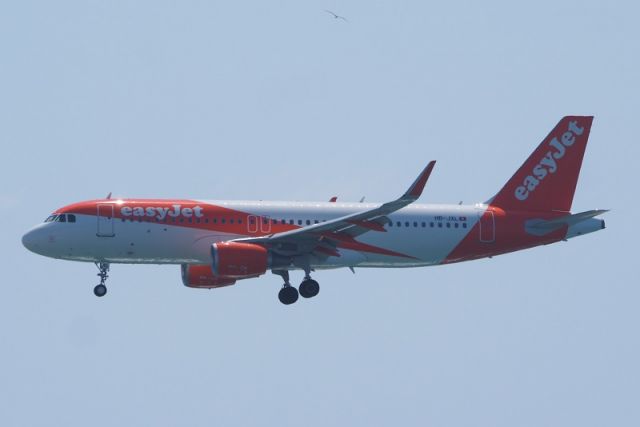 Airbus A320 (HB-JXL) - 16 aout 2019