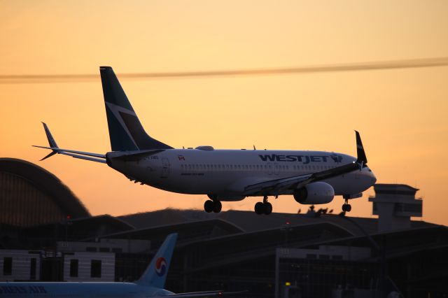 Boeing 737-800 (C-FXMS)