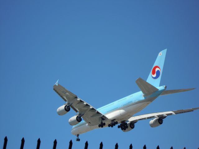 Airbus A380-800 — - Korean air A380-861 LAX