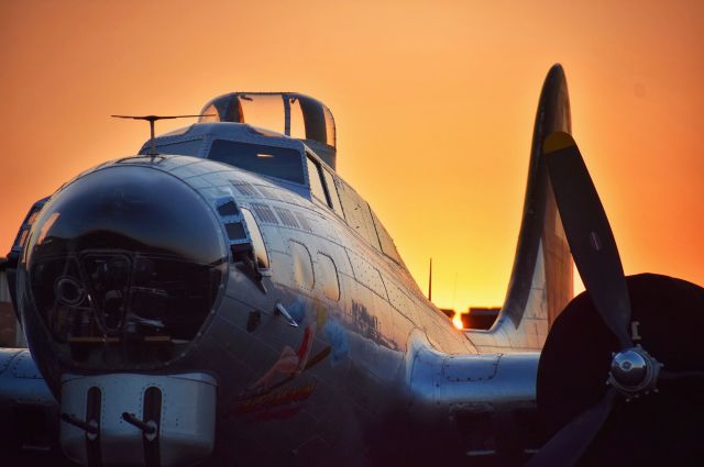 Boeing B-17 Flying Fortress (N5017N)