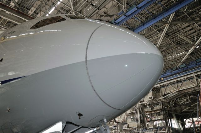 Boeing 787-8 (JA824A) - 2014/4/22