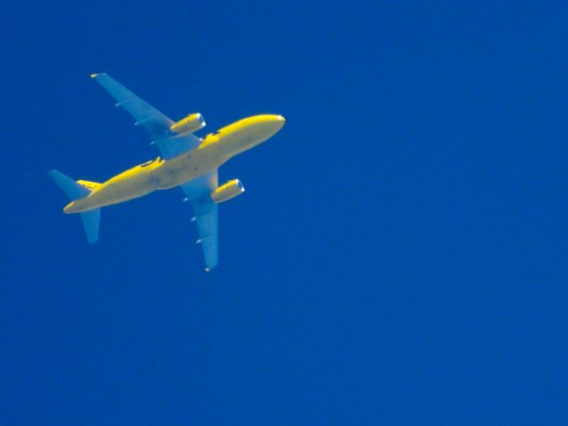 Airbus A319 (N516NK) - NKS313br /DTW-DFWbr /06/23/2