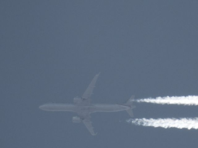 Airbus A321neo (N406AN)