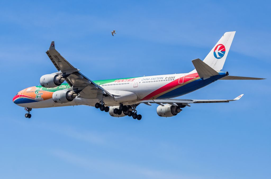 Airbus A340-600 (B-6055) - China Eastern A346 B-6055 Shanghai Expo