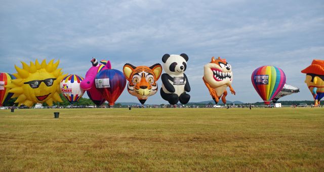 Unknown/Generic Balloon (N625TG) - SOLBERG AIRPORT-READINGTON, NEW JERSEY, USA-JULY 29, 2022: Seen by RF at the 39th Annual New Jersey Festival of Ballooning was the Tiger shaped balloon, registration number N625TG, along with some of the others that flew this weekend.