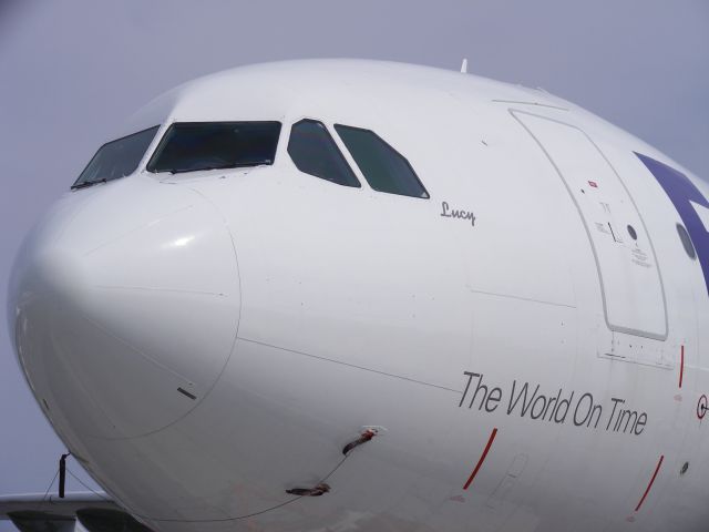 Airbus A320 (N746FO) - right side of nose with Lucy.