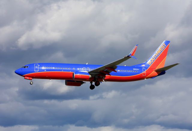 Boeing 737-800 (N8624J)
