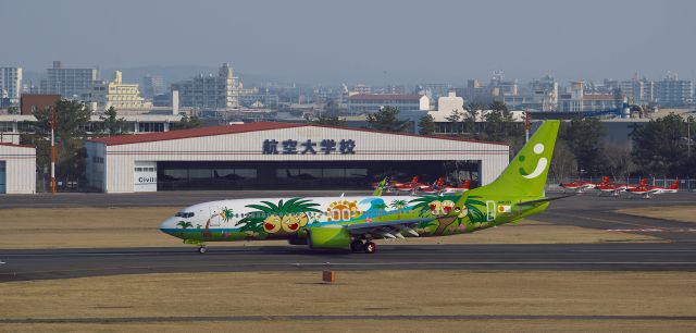 Boeing 737-800 (JA803X) - 「ナッシージェット宮崎(Nassy jet miyazaki)」br /Exeggutor(Nassy) is Pokémon character