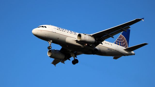 Airbus A319 (N852UA) - On final is this 2002 United Airlines Airbus A319-131 in the Autumn of 2020.