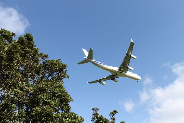 Airbus A340-300 (CC-CQC)