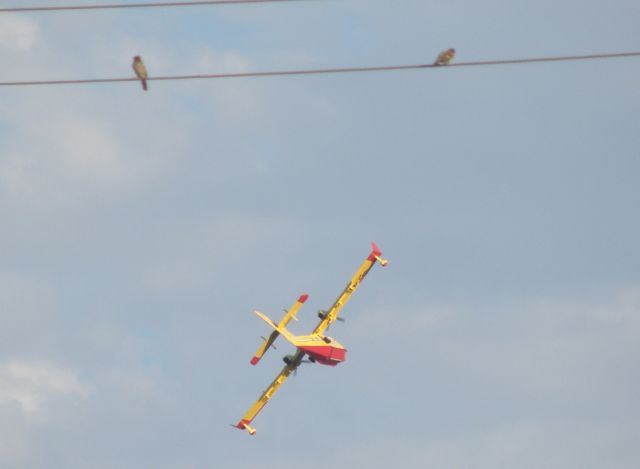 — — - Two sparrows being impressed by a water tanker turning into the Coyote Hills fire in Fullerton.  From my home in Whittier.