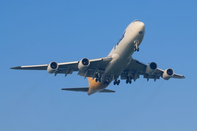 BOEING 747-8 (N853GT) - "DHL cs."