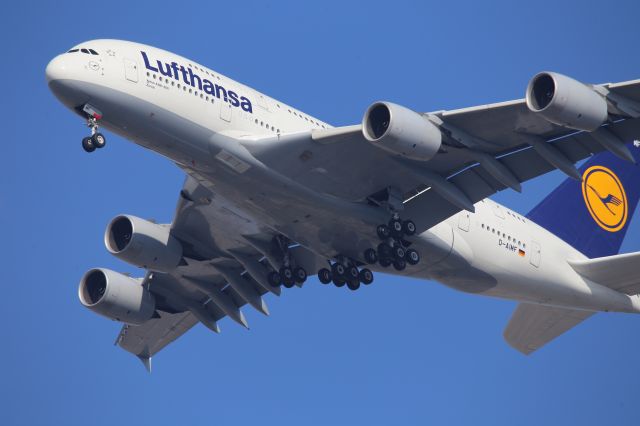 Airbus A380-800 (D-AIMF)