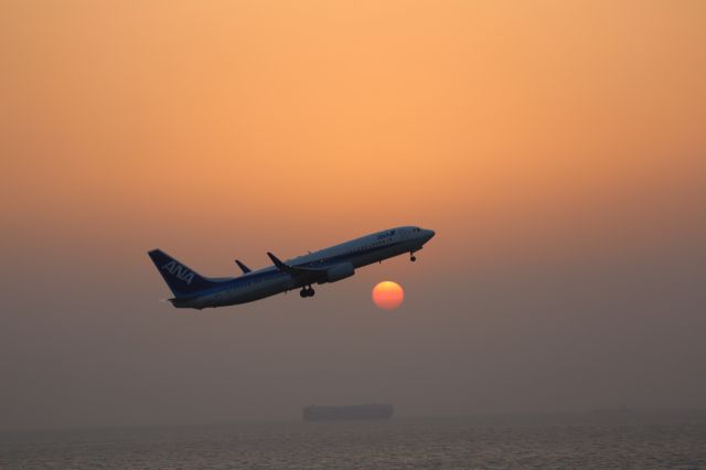 Boeing 737-800 (JA64AN)