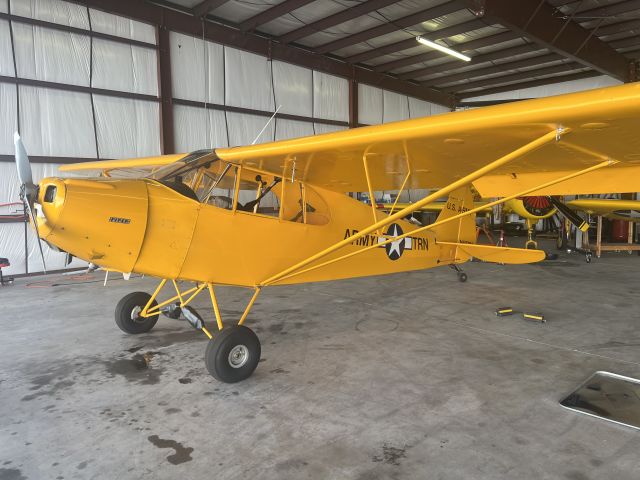 Piper L-14 Cub Cruiser (N40795)