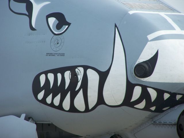 Fairchild-Republic Thunderbolt 2 (AWEF) - Warthog on display in Biloxi,MS