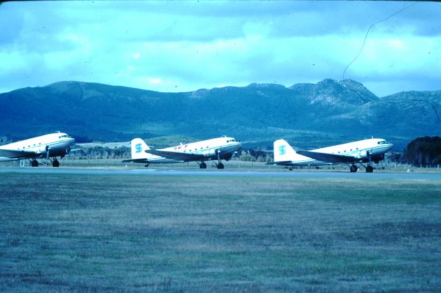 Douglas DC-3 (VH-MIN) - The entire fleet of Setair on a tour to Flinders Island, VH-MWQ, VH-MIN, VH-EWE, circa 1978