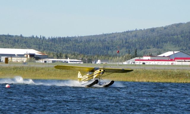 Piper L-21 Super Cub — - Very windy blowing spray everywhere.