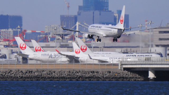 Boeing 737-800 (JA316J)