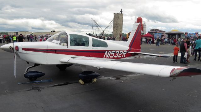 Experimental  (NI532R) - Experimental 1991 Van Den Bosch Thann  Rans S-10 at Manassas Air Show 2016