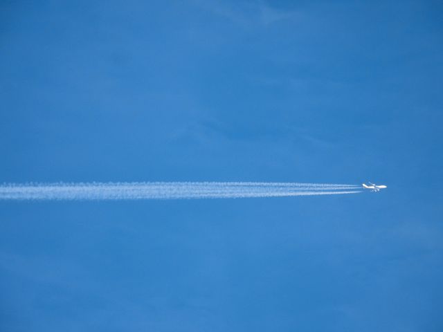 Boeing 747-400 (N453PA) - PAC212br /LAX-CVGbr /10/12/21