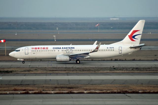 Boeing 737-800 (B-7875)