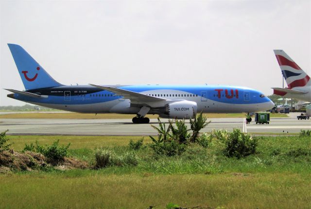 Boeing 787-8 (G-TUIB)