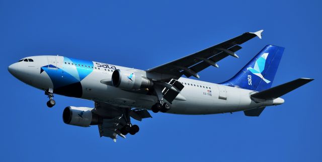 Airbus A310 (CS-TKN)