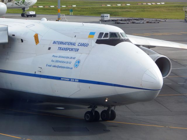 Antonov An-124 Ruslan (UR-82073) - At AKL on 31 Oct 2014.