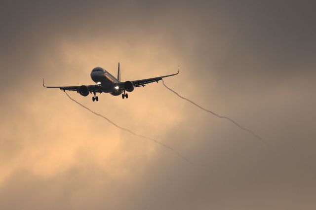 Airbus A321 (JA133A) - June 10th 2019:HND-HKD.