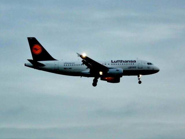 Airbus A319 (D-AILG)
