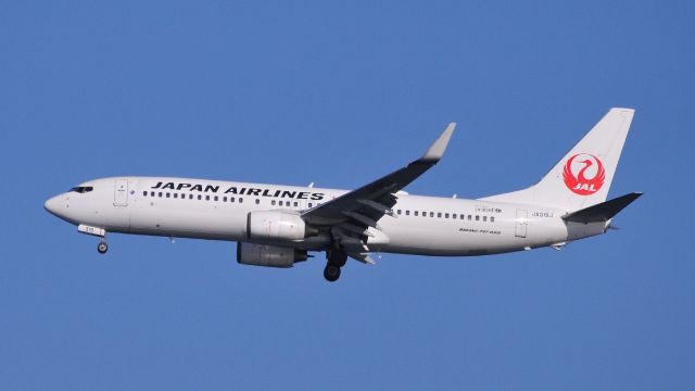 Boeing 737-800 (JA319J)