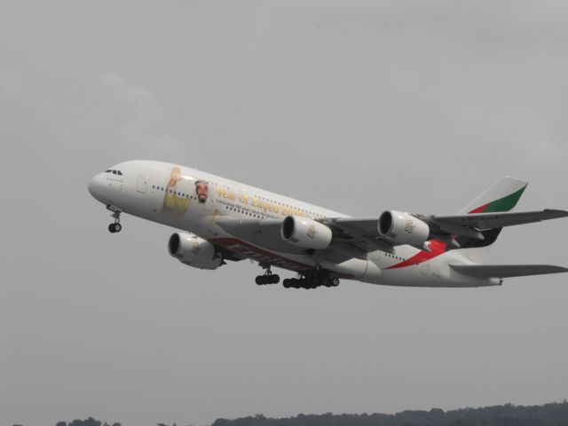 Airbus A380-800 (A6-EUA)
