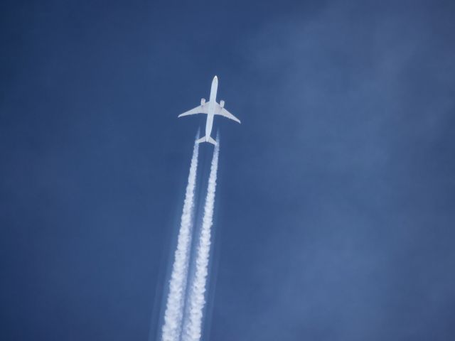 BOEING 777-300ER (VT-JEG)