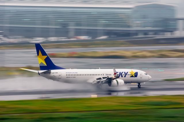 Boeing 737-800 (JA73NK)