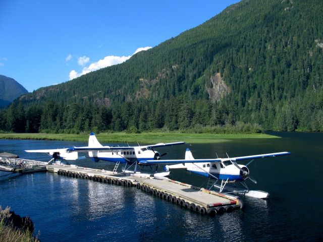 — — - AIR NOOTKA fleet, DH Beaver, DH Otter and Cessna at Gold River BC - 2005