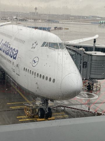 BOEING 747-8 (D-ABYS) - LH 747-8 that took me to EWR on a rainy day UPSTAIRS in Biz Class! 