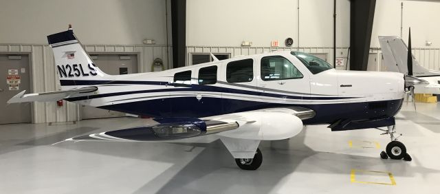 Beechcraft Bonanza (36) (N25LS)