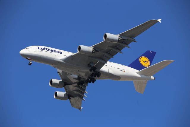 Airbus A380-800 (D-AIML)