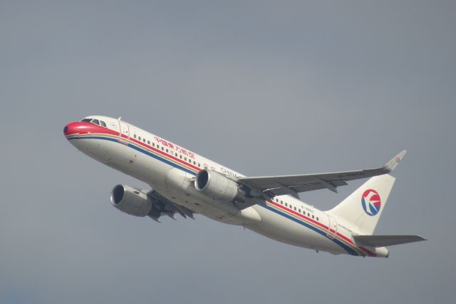 Airbus A320 (B-9950)