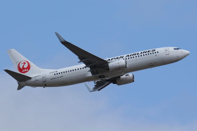 Boeing 737-800 (JA303J)