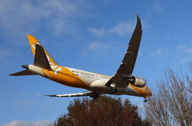 Boeing 787-8 (9V-OFC) - 成田東峰神社