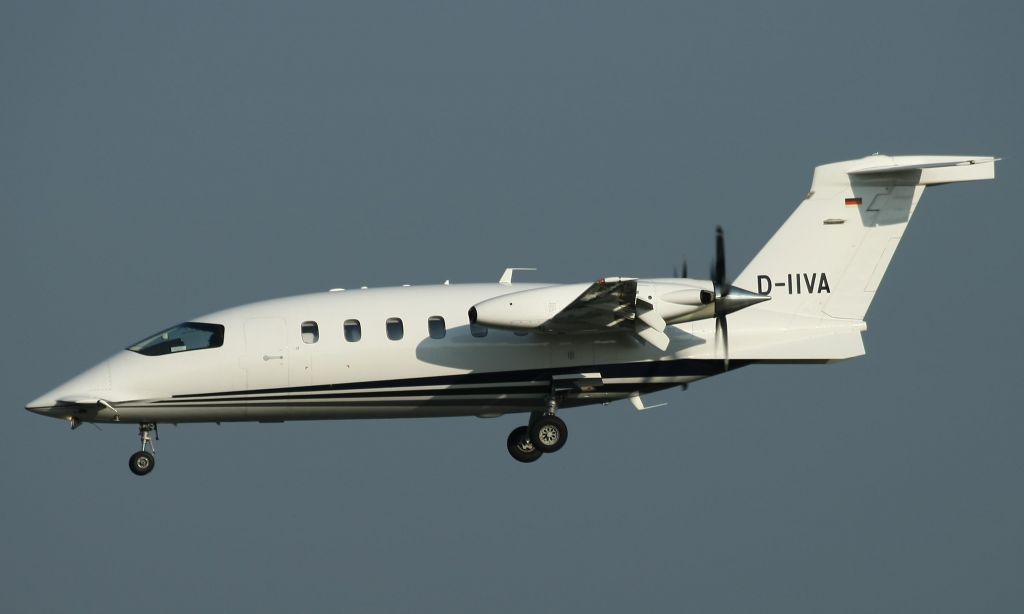D-IIVA —