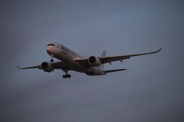 Airbus A350-900 (OH-LWB)