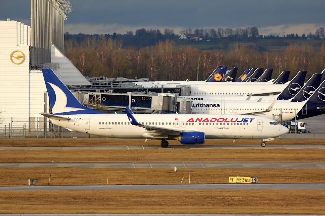 Boeing 737-800 (TC-JKU)