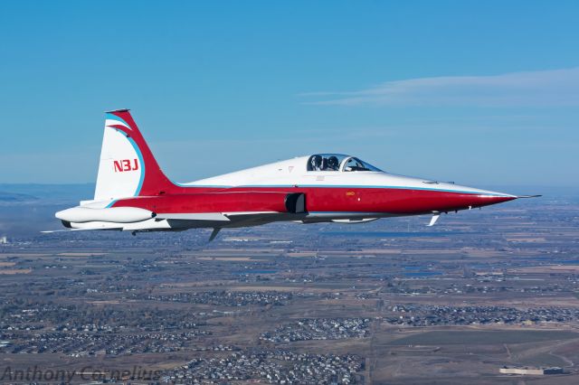 Northrop RF-5 Tigereye (N3J) - "Cujo" Rejoining off our wing during an air to air photo mission. 