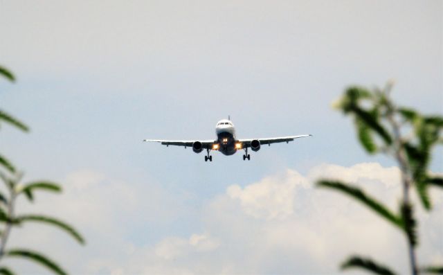 Airbus A320 (N505JB)