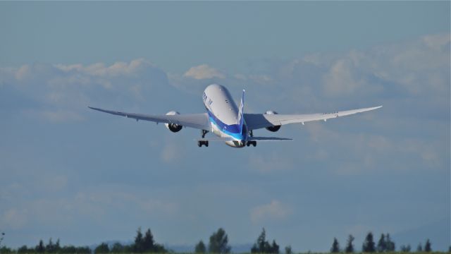 Boeing 787-8 (JA819A) - ANA9399 climbs from runway 34L to begin its delivery flight to RJTT / HND on 5/31/13. (LN:97 cn 42244).